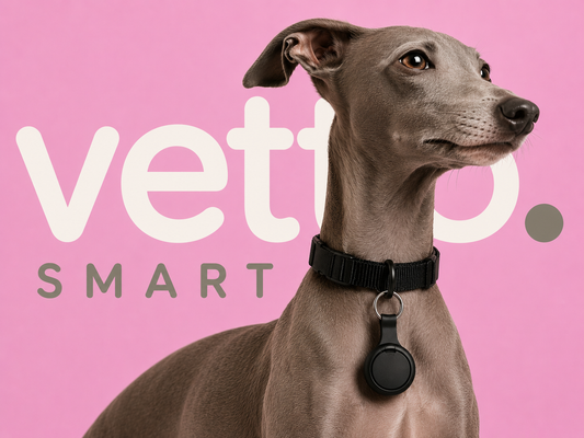 Vetto Smart