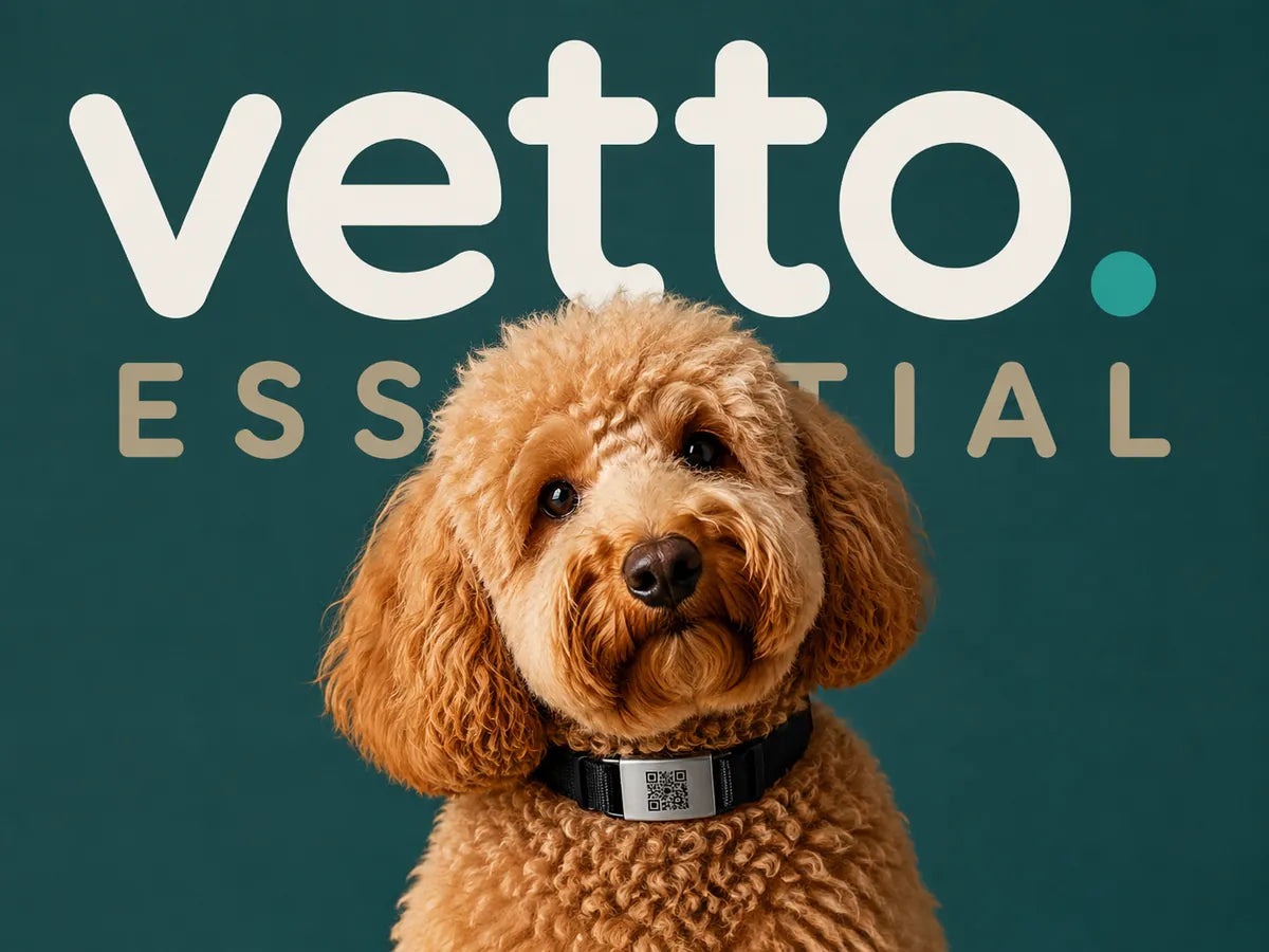 Vetto Essential