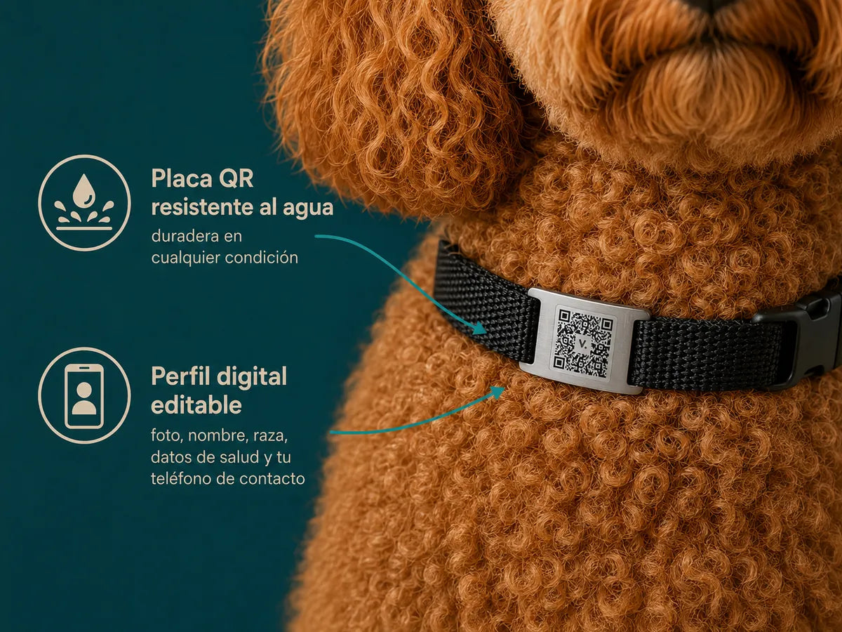 Vetto Essential