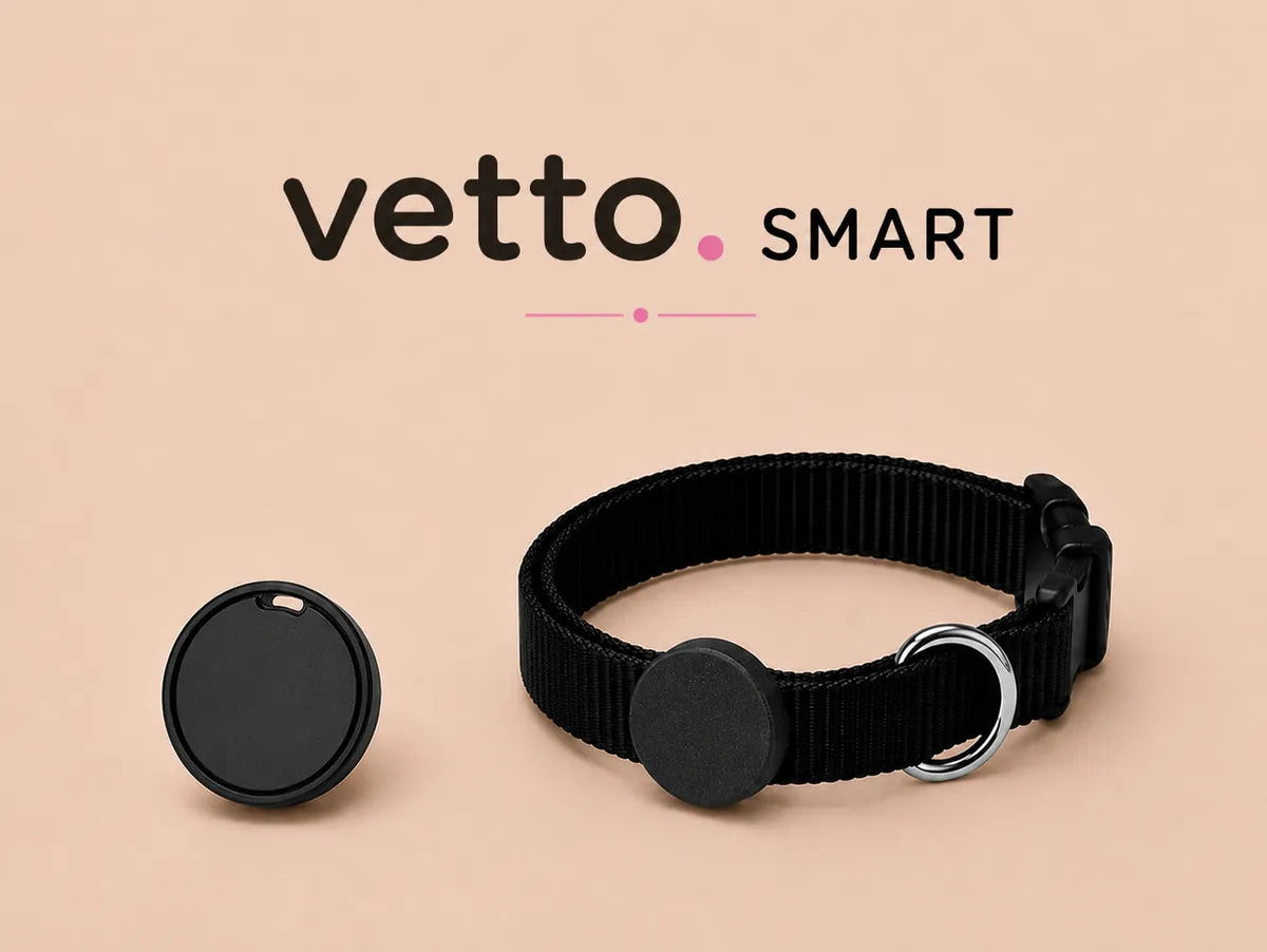 Vetto Smart