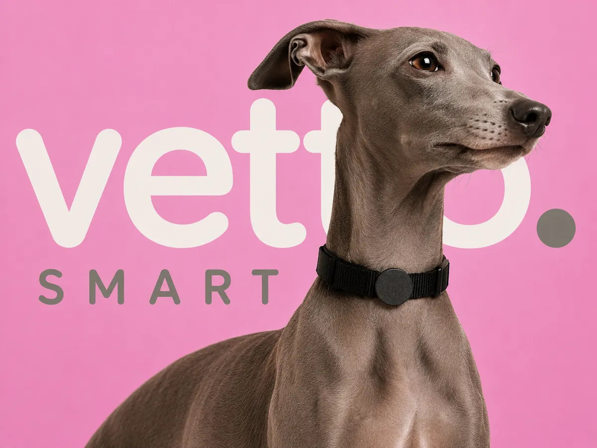 Vetto Smart