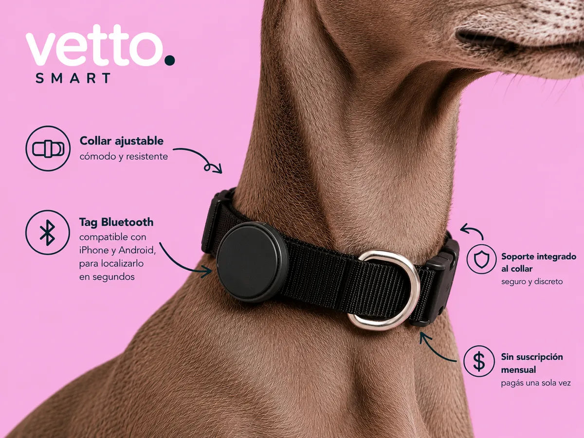 Vetto Smart